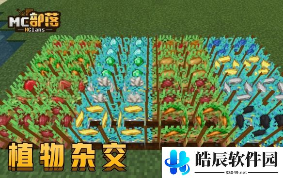 游侠网5