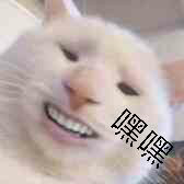 游侠网16