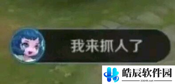 王者荣耀我来抓人了是谁 细节考验她是一个甜美辅助答案