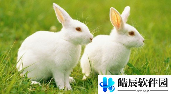 游侠网4
