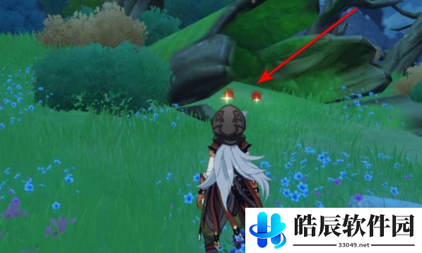 原神红色钩钩果在哪 红色钩钩果位置介绍
