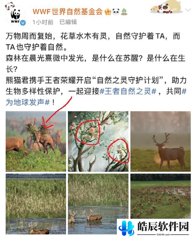 王者荣耀自然之灵怎么样 自然之灵皮肤什么时候出