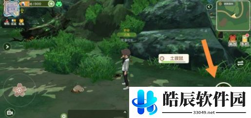 小森生活土拨鼠怎么不出洞 土拨鼠怎么捕猎