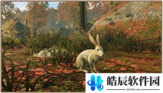 明日之后白兔在哪抓 白兔捕捉攻略