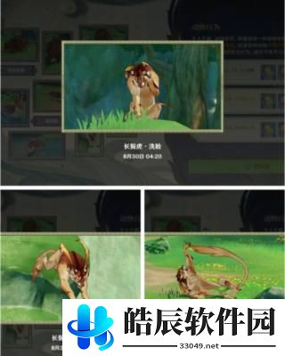 原神动物行为拍摄攻略 原神动物行为拍摄活动怎么做