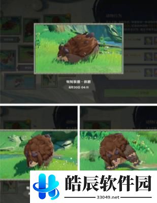 原神动物行为拍摄攻略 原神动物行为拍摄活动怎么做