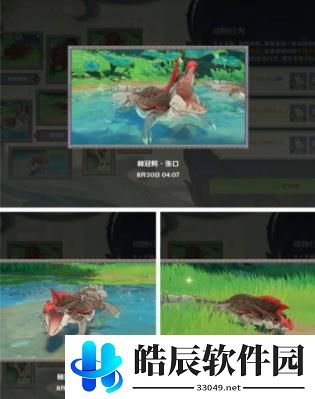 原神动物行为拍摄攻略 原神动物行为拍摄活动怎么做